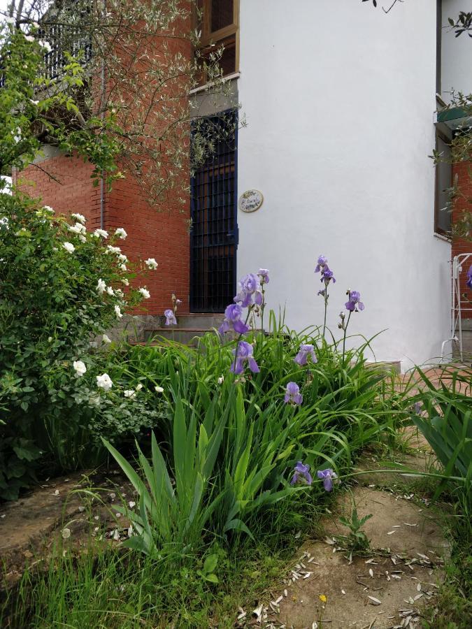 Al Canaiolo Apartment Strada in Chianti Exterior photo